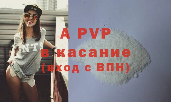 крисы Белокуриха