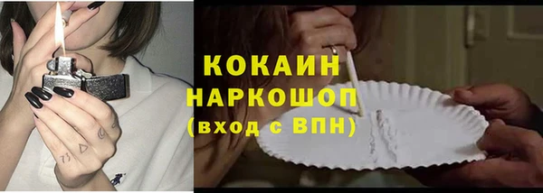 эйфоретик Чегем