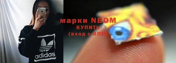 крисы Белокуриха