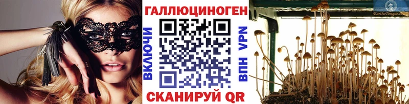Галлюциногенные грибы MAGIC MUSHROOMS Черногорск
